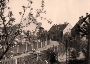 Wallensteinstraße von der Friedlandstraße aus im Frühjahr 1930 (Foto: Sammlung A. Mayer)